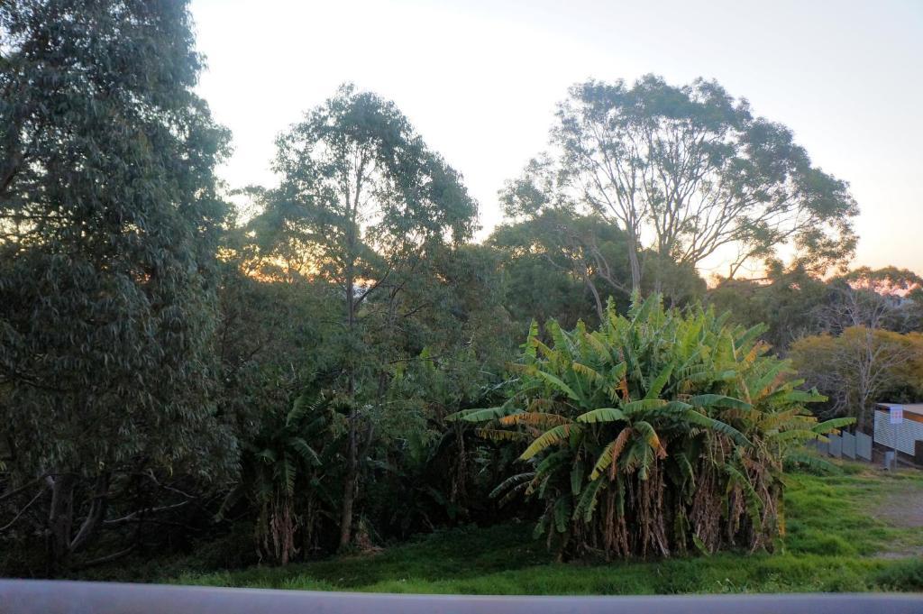 Panorama Motor Inn Newcastle Rom bilde