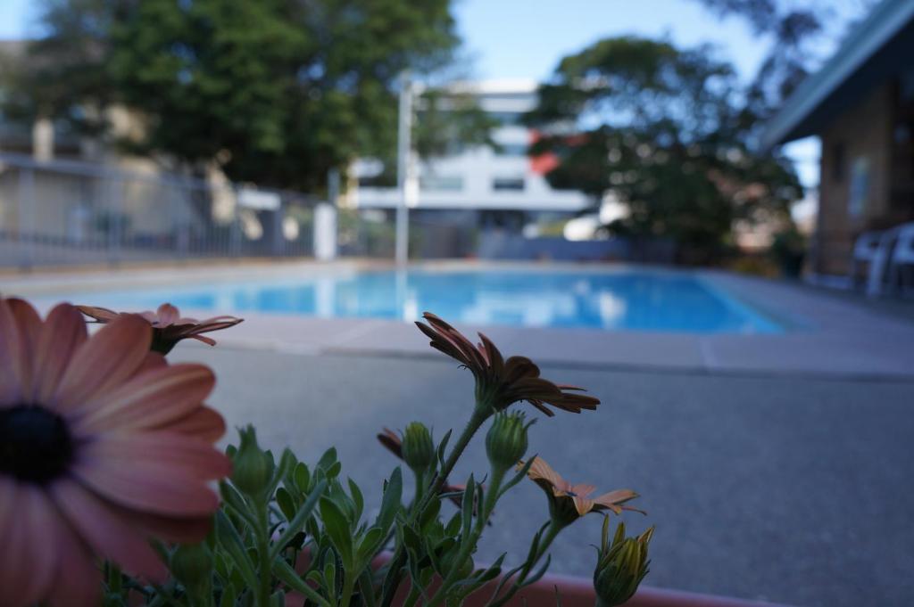 Panorama Motor Inn Newcastle Eksteriør bilde